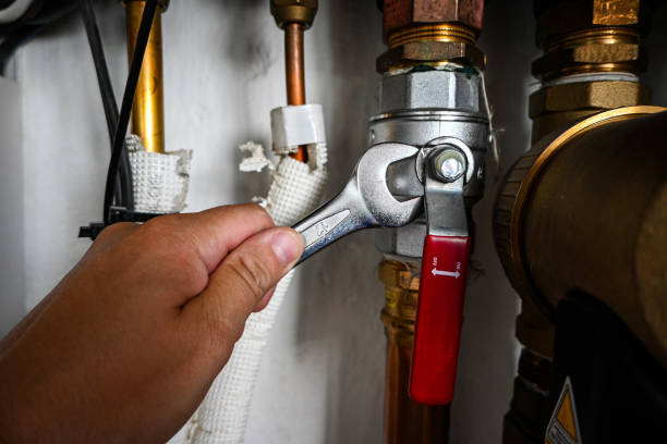 Best Sprinkler Systems  in Palmyra, NJ